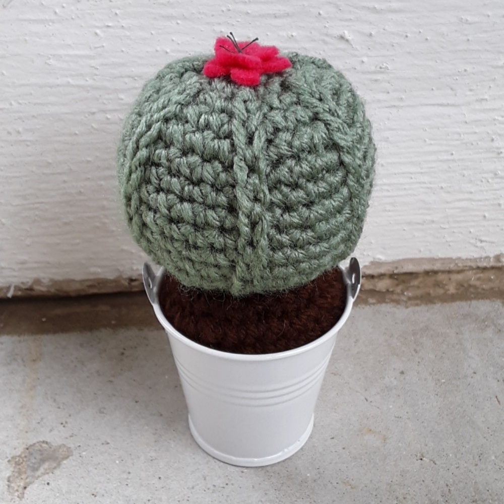 Set Handmade Crochet Cactus - Picture 3 of 4